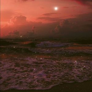 Meet your Posher, Leece